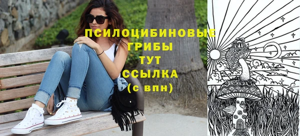 гашик Верхний Тагил