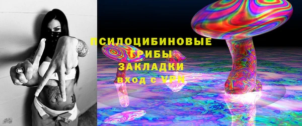 гашик Верхний Тагил