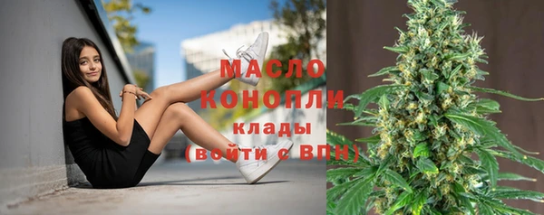 гашик Верхний Тагил