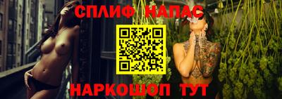 Альфа ПВП Гудермес