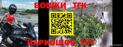 Альфа ПВП Гудермес