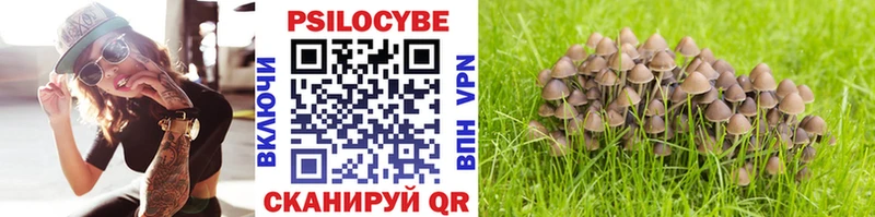 что такое наркотик  OMG ONION  Галлюциногенные грибы Psilocybine cubensis  Мончегорск 