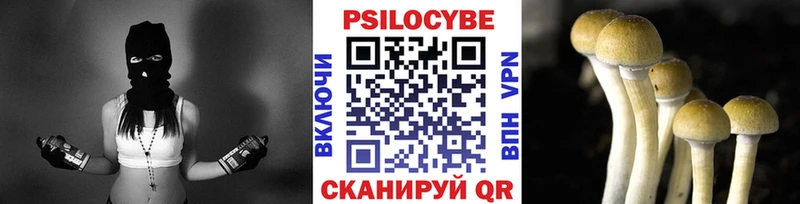 Псилоцибиновые грибы MAGIC MUSHROOMS Мончегорск