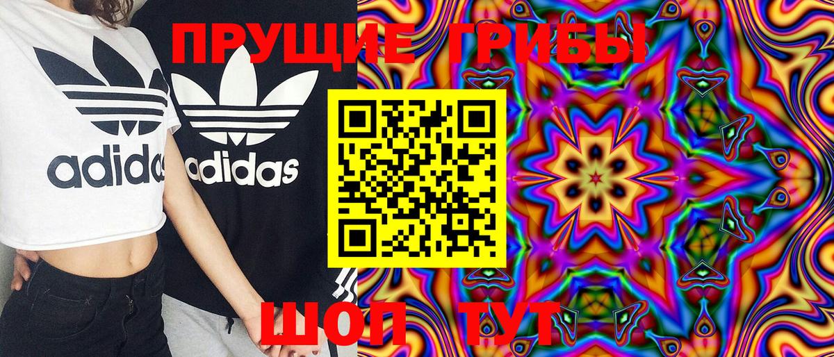 Псилоцибиновые грибы мухоморы Мончегорск