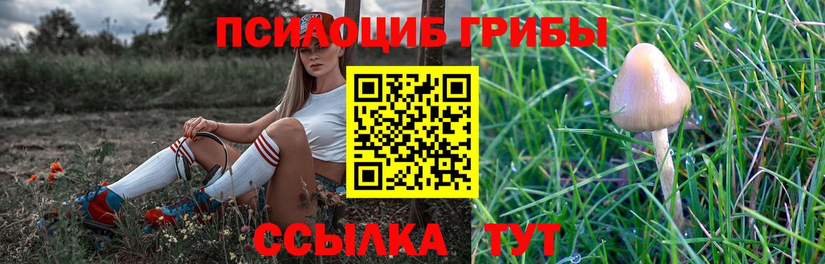 Мончегорск  Псилоцибиновые грибы мухоморы  Вход с VPN 